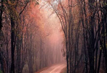 姚明卸任篮协主席后受访谈新动向：“体育在促进中美文化交流中有独特作用”澎湃新闻.