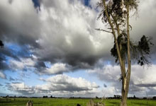 爱游戏体育：西甲-莱万双响亚马尔造乌龙 巴萨4-1赫罗纳9连胜.