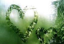 世界杯南美洲区外围赛：乌拉圭击败哥伦比亚.